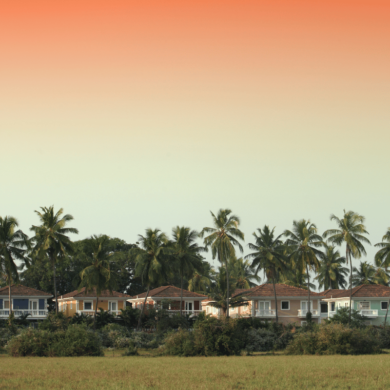 Domestic Packages (11)