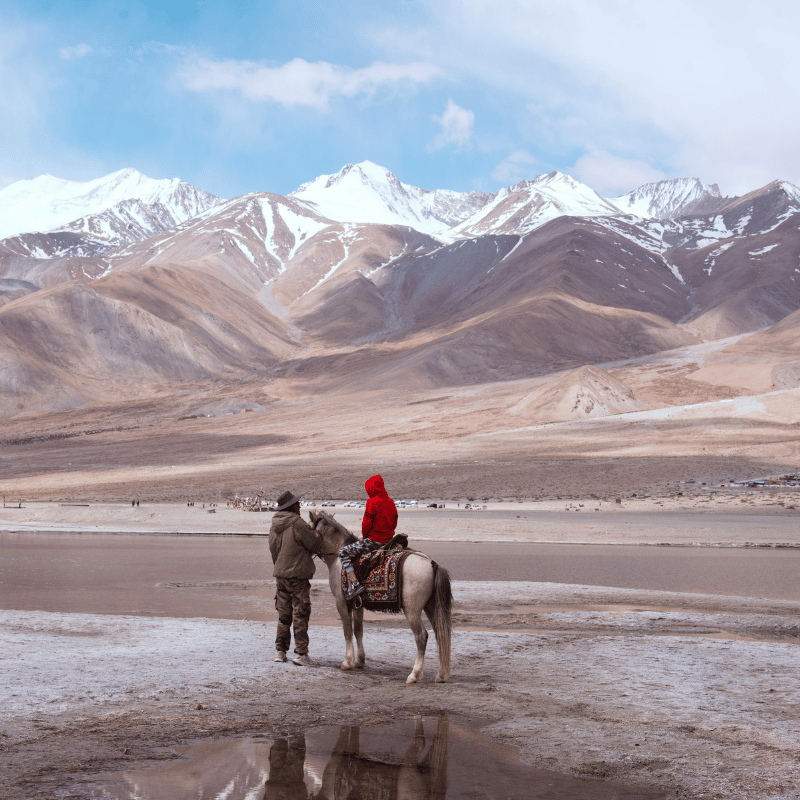 Domestic Packages (38)