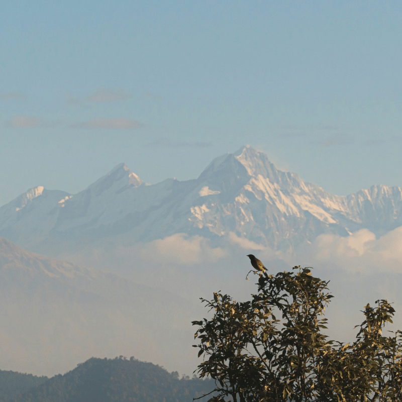 Uttarakhand (17)