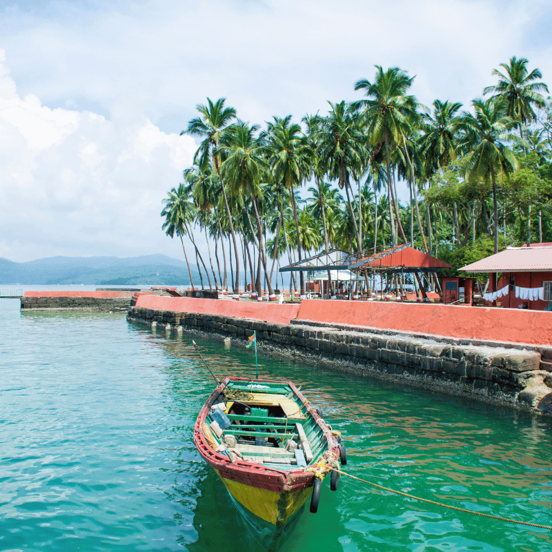 andaman and nicobar Packages (2)