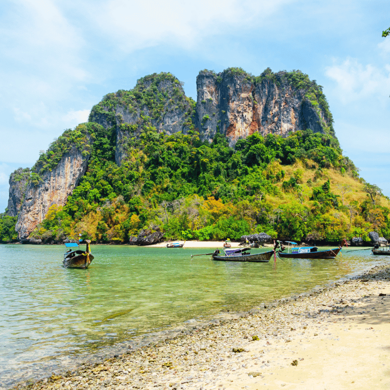 andaman and nicobar Packages (3)