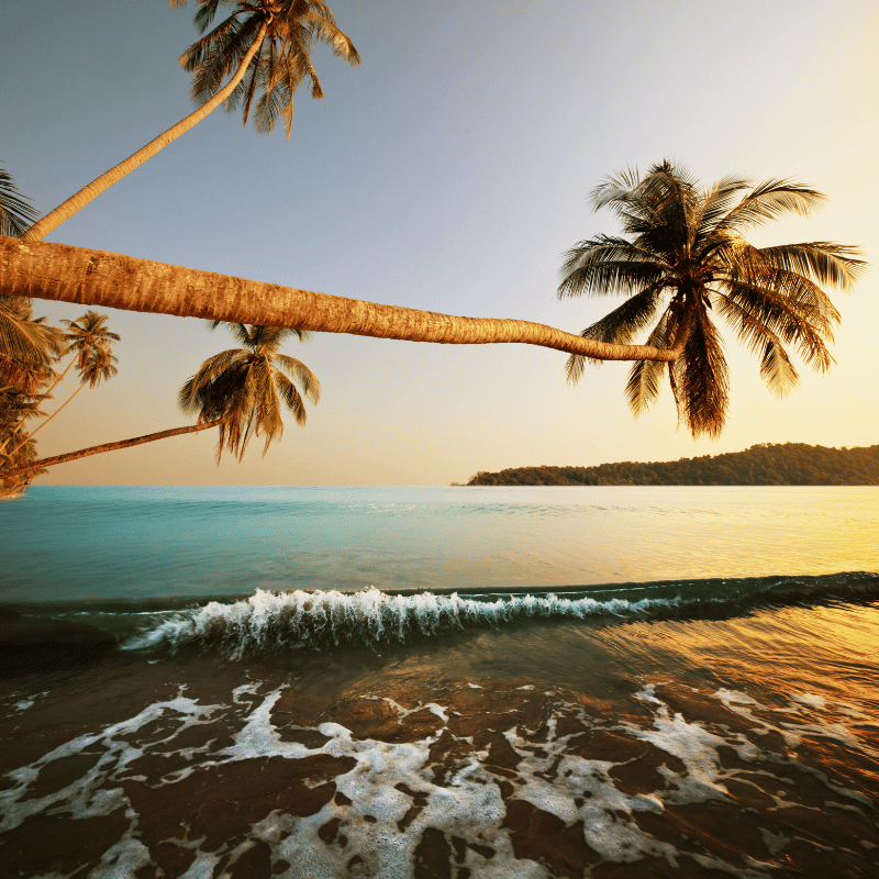 andaman and nicobar Packages (4)