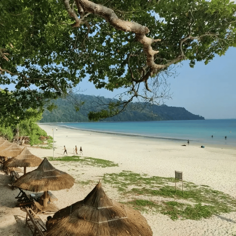 andaman and nicobar Packages (8)