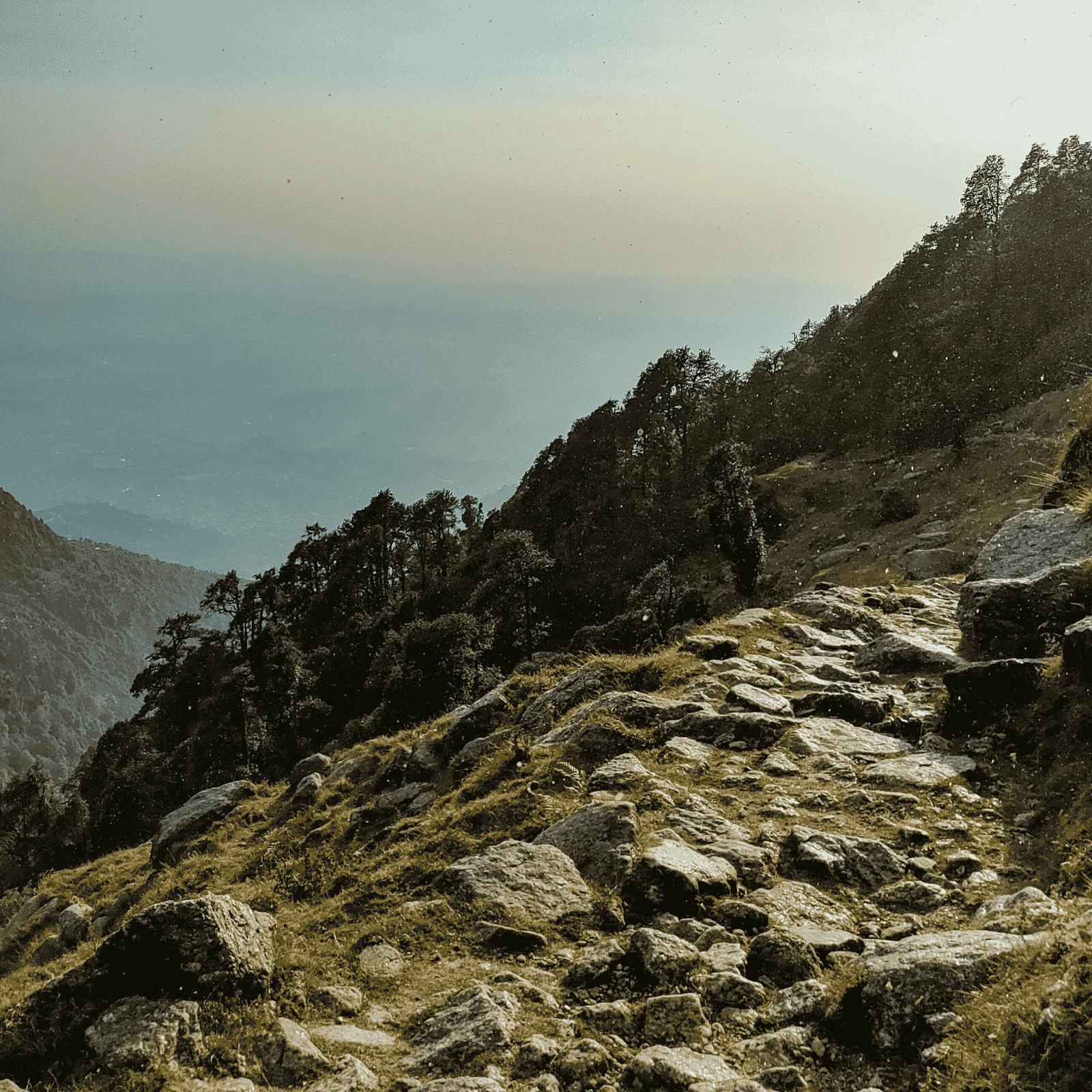 Untitled design (63)